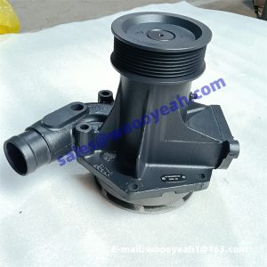 4110003187001 612640060102 water pump applicable for Weichai
