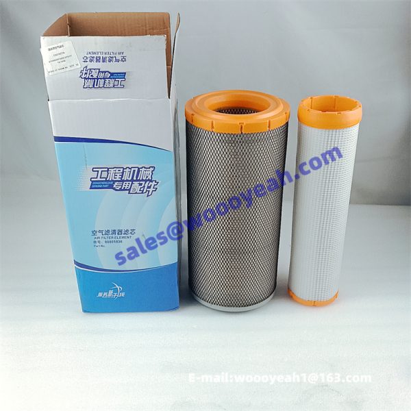 860157930 13074774 KW1838 air filter applicable for Weichai – Woooyeah ...