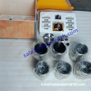 13032095 1000156635 piston liner kit one set applicable for Weichai TD226