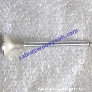 J3000-1003103A exhaust valve applicable for Yuchai YC6J125