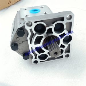 CBN-E32 CB 500018 gear pump applicable for XCMG