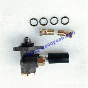 13029828 7200002996 fuel pump applicable for Weichai TD226B