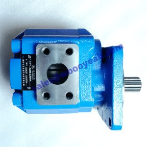 CBGJ2080H 11C0581 JHP2080A 803004104 steering pump for XCMG