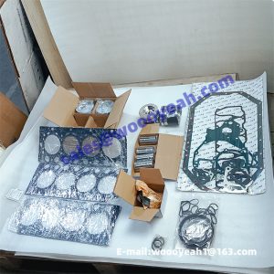 4110001475094 BF4M2012C engine overhauling repair kit for SDLG