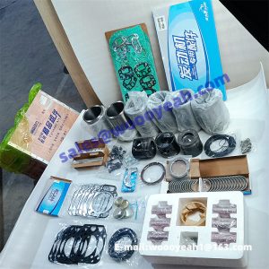 4110002576005 WP6G175E21 DHB06G0275 engine repair kit