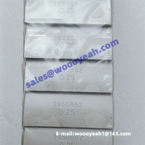 3950662 connecting rod bearing for Cummins 6CT