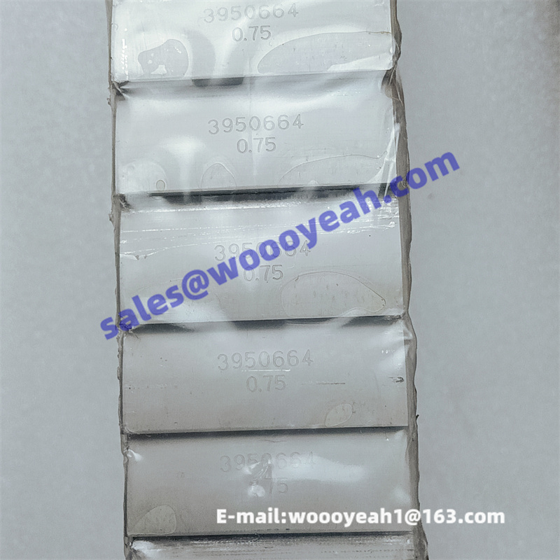 3950664 3901433 connecting rod bearing for Cummins 6CT – Woooyeah Co., LTD