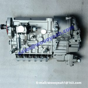4110002289061 612601080810 fuel injejection pump for SDLG LG968F