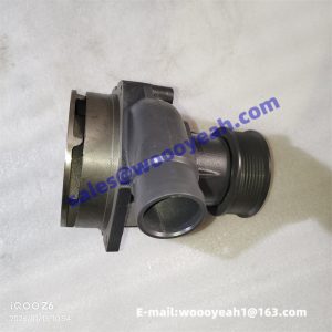 612640060102 W010517994 4110003187001 water pump for Weichai WP10