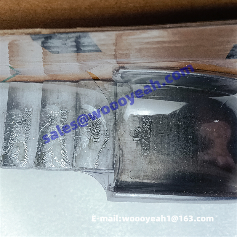 C3802070 main bearing for Cummins 6BT – Woooyeah Co., LTD