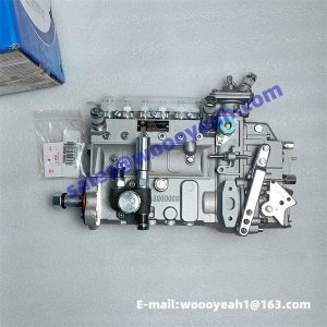 13053063 4110000991002 W010251940 SP126330 fuel injection pump for Weichai TD226B