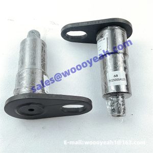 29250004031 ZL30G.11.9 down articulation pin for SDLG LG936