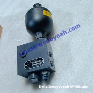 12C0243 12C0059 WYF-21 accumulator assy for XGMA XG955