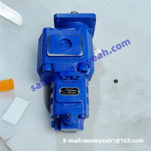 4120001058 CBGJ3100/1010-XF gear pump for SDLG LG936