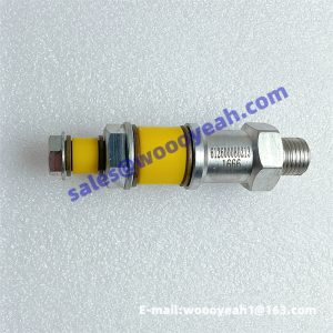 612600080213 4110000112008 860127671 check valve for Weichai WD615