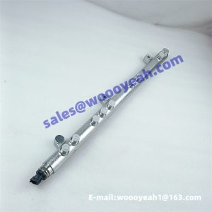 612630080038 4110003210086 high pressure common rail for Weichai WP10G