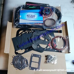 61560010701 engine overhaul gasket for Weichai WD615