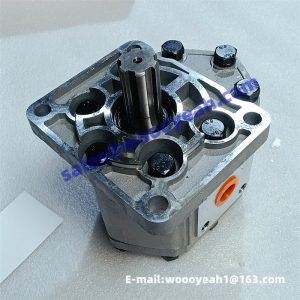 CBN-E32 9D650-31A010000A0 9D20-530100 transmission pump for Lovol FL936