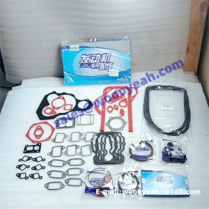 WP10G220E343 DHL10G0047 engine overhaul gasket for Weichai