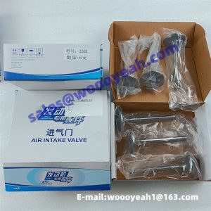 12159606 SP105243 W010250690 4110000909051 inlet valve for Weichai TD226B