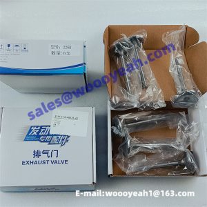 12159608 4110000054215 SP105244 W010250700 exhaut valve for Weichai TD226B