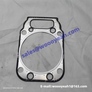 13059912 4110000057003 cylinder head gasket for Weichai TD226B
