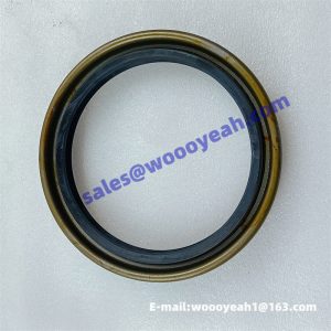 13B0672 07013-10120 oil seal for Liugong
