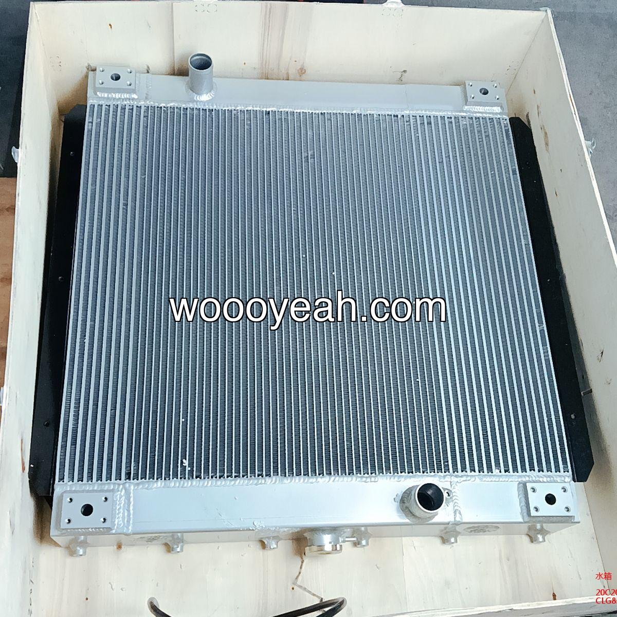 20C2023 water tank CLG836 配潍柴