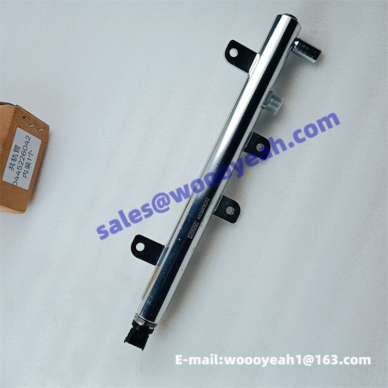 3978448 3978448 0445226042 fuel common rail pipe for Cummins – Woooyeah Co., LTD