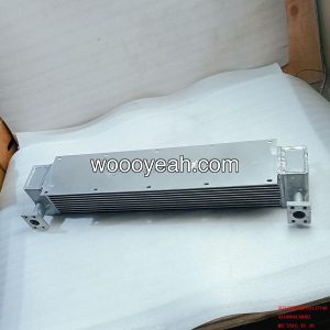 4110004138002 radiator