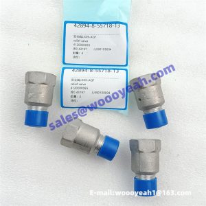 4120000065 LG09-AQF JL990109004 relief valve for SDLG LG933L