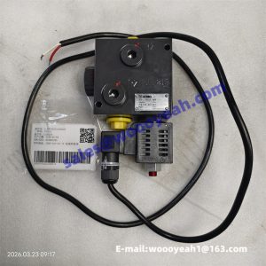 803081280 1DXF-110-35/-M electromagnetic unloading valve for XCMG