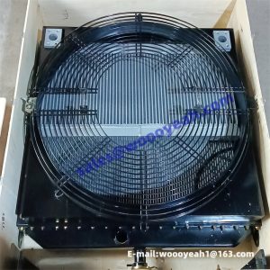 4110001553 LY-LG952H-2B radiator assy for SDLG LG952H