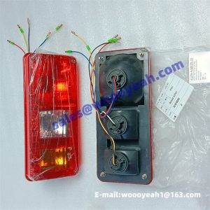 D2450-01300 rear lamp for Sanyu