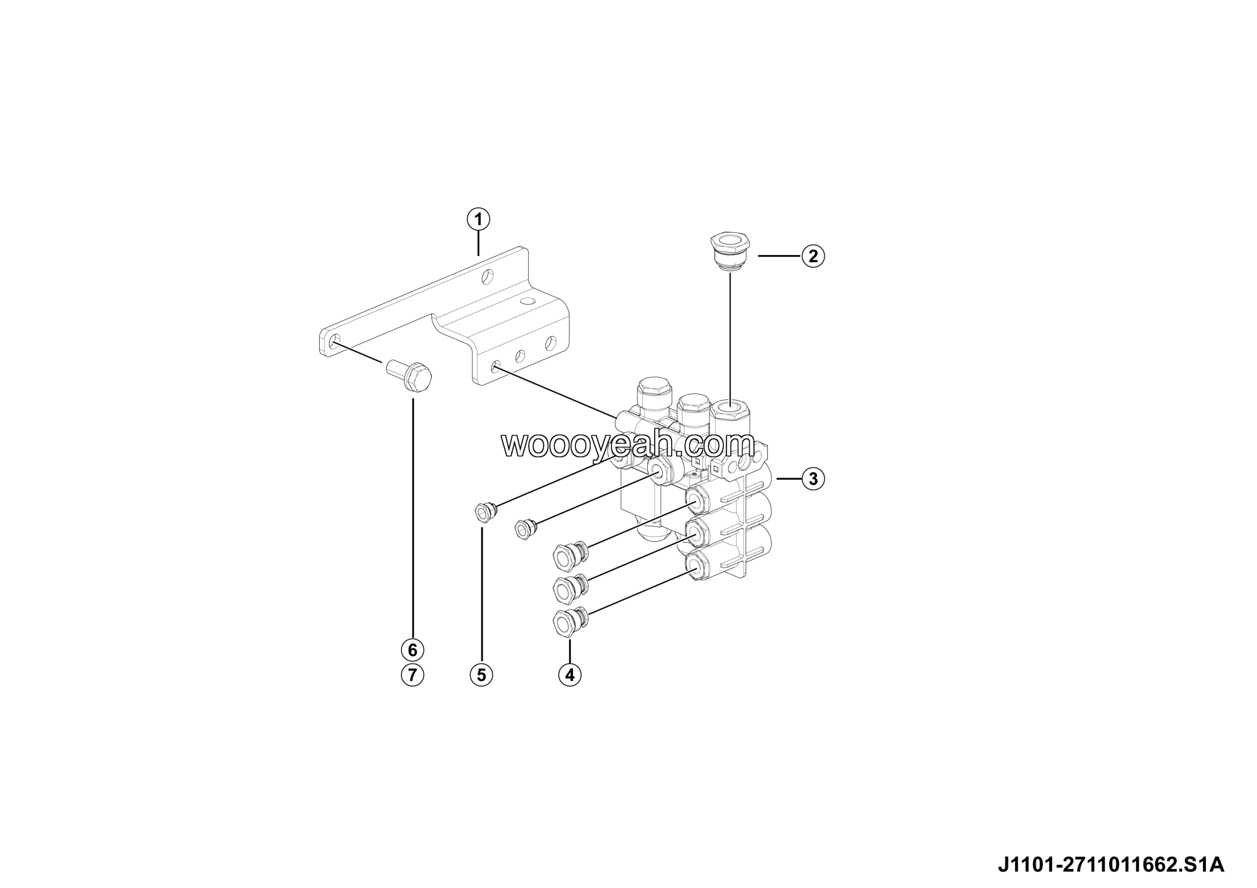 LGMG RTH100 2025 - Two solenoid valves assy - J1101-2711011662.S1A