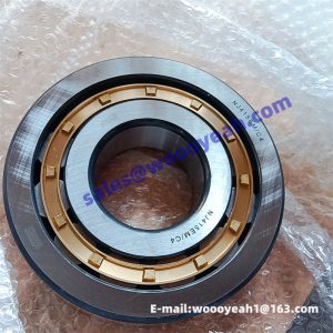 NJ415EM/C4 22B0046 P170-09-13160 roller bearing for Shantui