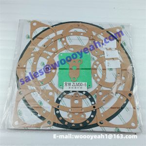 Z30.2D.1-19 Z30.2.3-15 Z30.2.3-14 gasket for Changlin