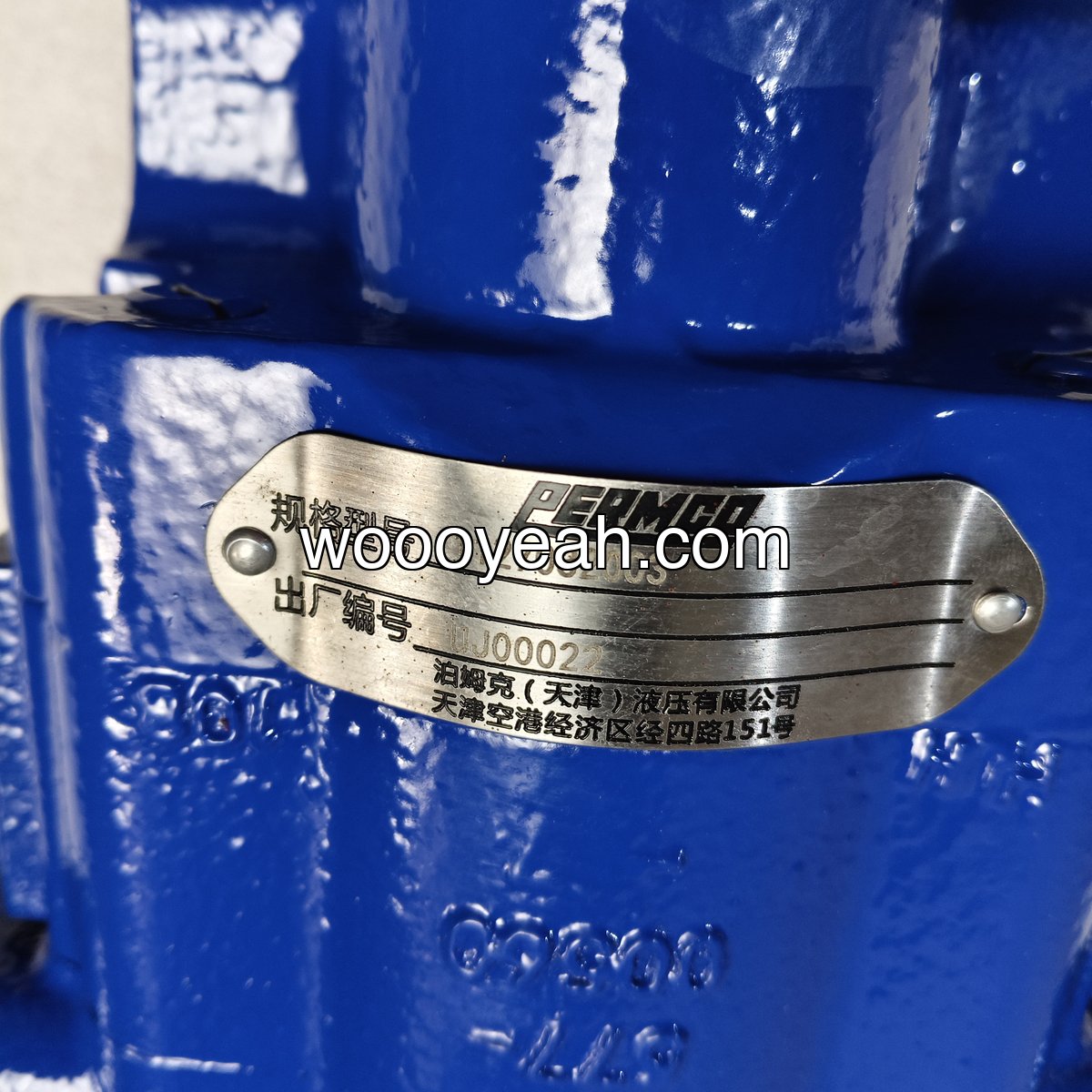 中联吊车 齿轮泵 1010000694 泊姆克