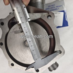 原厂 潍柴道依茨 水泵 1000054019