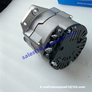 1001752070 4110004112005 1009560072 alternator for Weichai TD226B