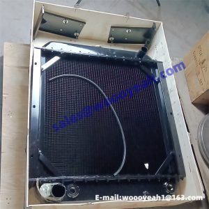 20C0243 YC6J125Z-T20 radiator group for XGMA XG932H