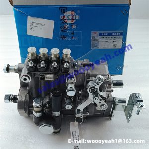 2410201240042 BH4JQ90R9 fuel injection pump for Quanchai