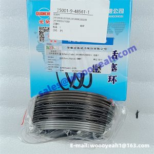 2410800320100 2410800320200 2410800321000 piston ring for Quanchai