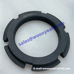 4110000560005 SQ2405032KG10 lock nut for LGMG