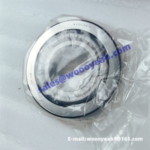 4110000560045 27313EK bearing for LGMG
