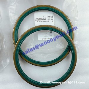 4110000819046 ZJ4110000819046 SQ99012340094 seal ring for LGMG CMT96