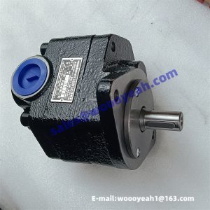 60301000007 60301000025 LGCBF040 LG30F.02.02.01 gear pump for Lonking CDM833