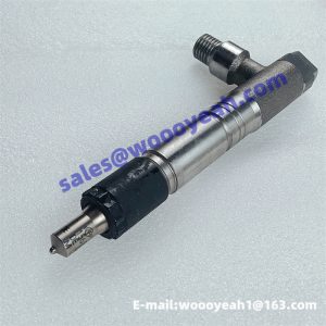 803007417 300010344 29906-53100 729906-53100 fuel injector for XCMG