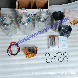 D0200-9000200A liner kit one set for Yuchai YC4108ZQ