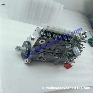 SP132673 5270404 fuel injection pump for Cummins